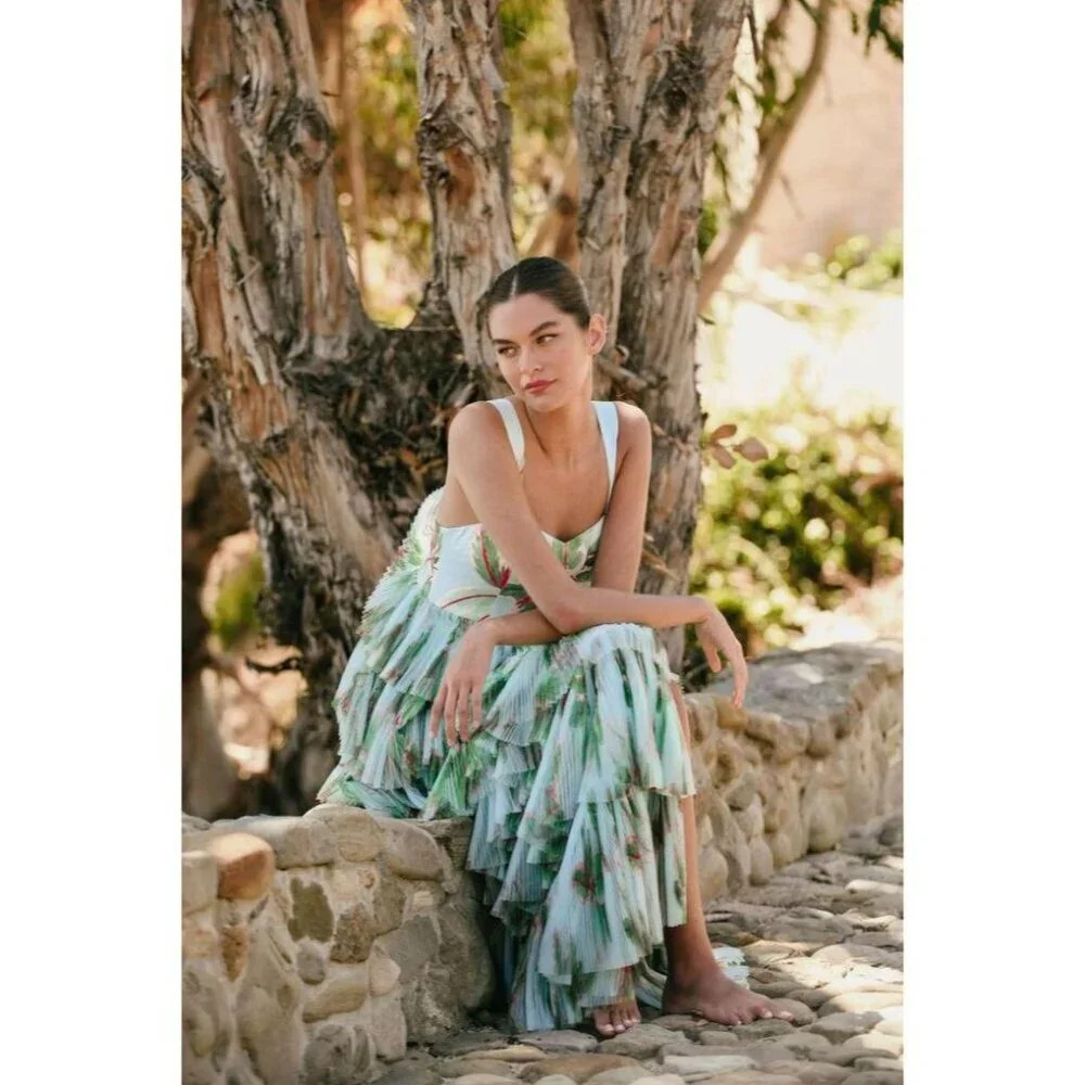 Anthropologie Hutch Mariah Tiered Tulle Sweetheart Column Gown 2 NWT $260 - Picture 4 of 12
